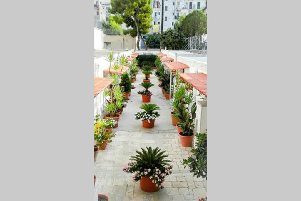 Al Cortile Apartment Bari Luaran gambar
